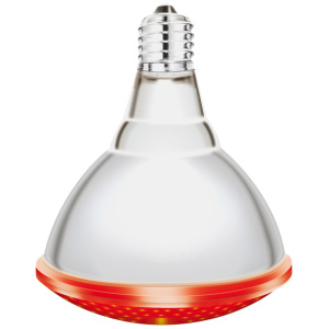 Bec infrarosu "IR/PAR INTERHEAT" 100W (116623100R)