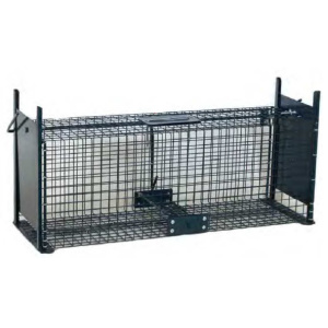 Capcana sobolani , o intrare 49 x 22 x 23 cm "BOXTRAP" (129701502020)