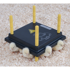 Placa incalzire pui ,  25x25 cm (530005025)