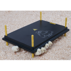 Placa incalzire pui ,  40x60 cm (530005060)
