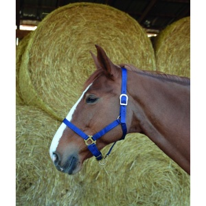 Capcana soareci "SUPERCAT PRO " 8*2 (129815001)