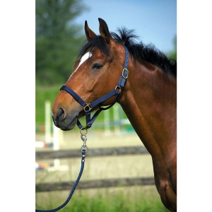 Capastru marimea cob , nailon , albastru (130E510185007)