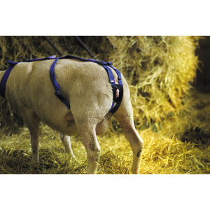 Ham oi pentru prolaps , nailon (101110002V)