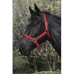 Capastru cai , nailon , rosu , cob (130E510031003)