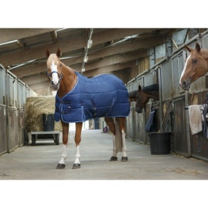 Patura grajd "RIDING WORLD"