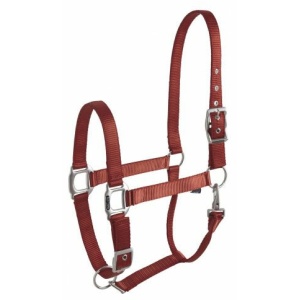 Capastru cai "EQUITHEME ECLAT" nylon ( 130E510082033 )